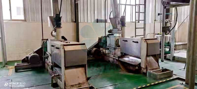 tea seed oil production
